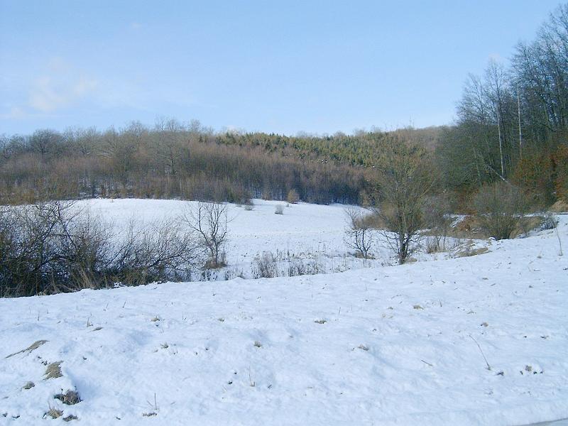 20110122 076.jpg